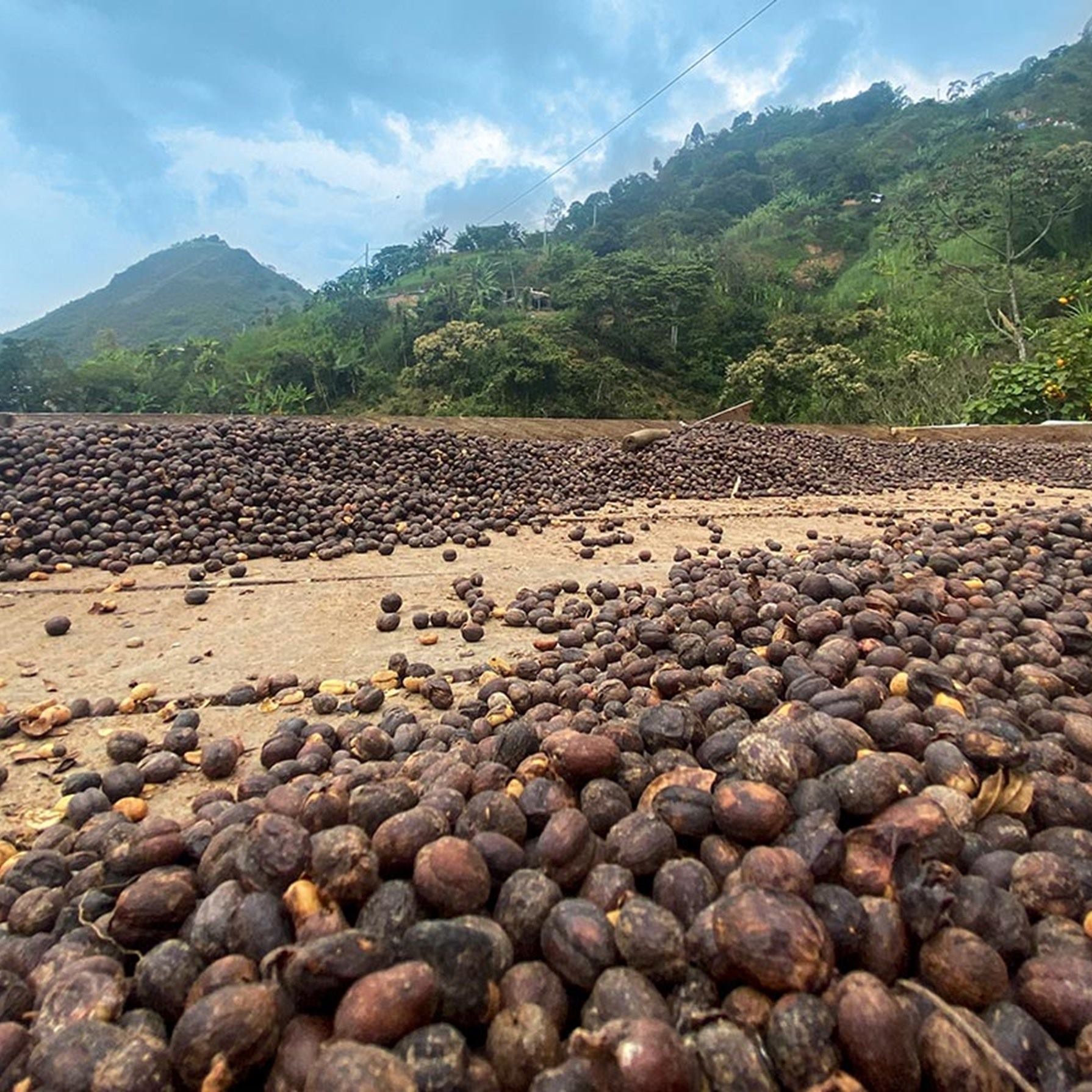 cafe-colombiano