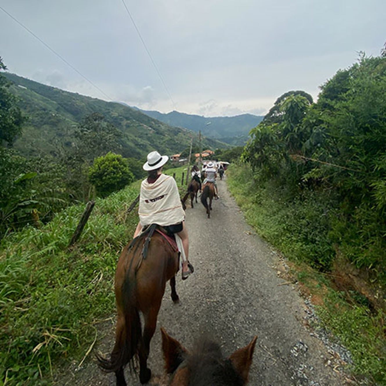 cabalgata